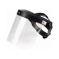 Viziere si accesorii protectie