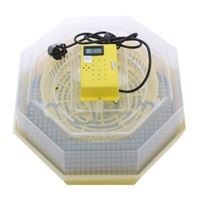 Incubatoare oua