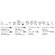 Set extractoare culisante bucse, rulmenti Yato YT-25391 6