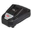 R20 Ciocan rotopercutor SDS 20V 4.0Ah 3J RDP-BRH20 Raider Pro 030202 8
