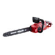 Fierastrau electric cu lant 450mm 2400W RD-ECS30, Raider Garden Tools 075125 1
