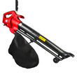 Suflanta frunze cu aspirare si tocator 2600W RD-EBV03, Raider Garden Tools 075522 1