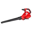 Suflanta frunze cu aspirare si tocator 3000W RD-EBV05, Raider Power Tools 075561 4
