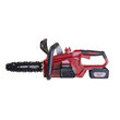 R20 Fierastrau electric cu lant 250mm 3Ah RDP-SCS20 Set, Raider Garden Tools 075709 3