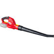 R20 Suflanta frunze 180km/h 5m3/min SOLO RDP-YBL20, Raider Garden Tools 075767 1