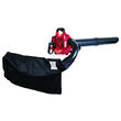 Suflanta pe benzina cu aspirator si tocator 1.0CP RD-GBV05, Raider Garden Tools 077401 1