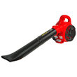 Suflanta pe benzina cu aspirator si tocator 1.0CP RD-GBV06, Raider Garden Tools 077404 1