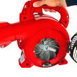 Suflanta pe benzina cu aspirator si tocator 1.0CP RD-GBV06, Raider Garden Tools 077404 2