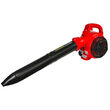 Suflanta pe benzina cu aspirator si tocator 1.0CP RD-GBV06, Raider Garden Tools 077404 8