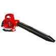 Suflanta pe benzina cu aspirator si tocator 1.0CP RD-GBV06, Raider Garden Tools 077404 9