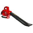 Suflanta pe benzina cu aspirator si tocator 1.0CP RD-GBV06, Raider Garden Tools 077404 11