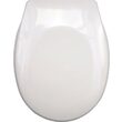 Capac wc Fala 75470 4
