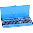 Trusa biti torx, hex si spline 40 piese CR-V Vorel 66400 1