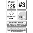 Disc raspel pentru lemn depresat 125 x 22.2 mm nr. 3 Yato YT-59170 4
