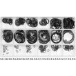 Set 300 coliere zeger interior Yato YT-06881 4