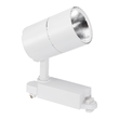 Proiector Sina LED 20W CW Alb 1