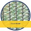 PLASA UMBRIRE   80 G/MP, 8.0 x 25 M, VERDE, DSH 241741 2