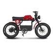 Bicicleta electrica Ape Ryder Gibbon, putere motor de 250 W, Viteză maximă 25KM/H, 85 km autonomie 8