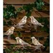 Ghirlanda solara 5x LED WW pasari 1.5m Entac 4