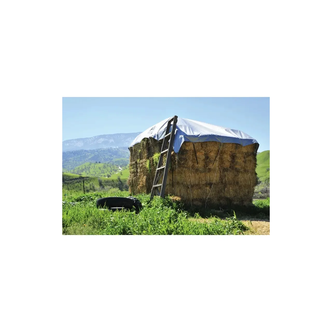 Prelata impermeabila cu inele 5 x 6 m - 150 g/mp, argintiu, DSH 104244 1
