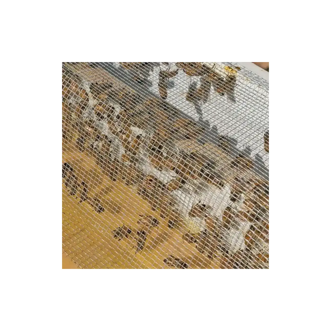 Plasa sarma zn 1x12 m - 4.2 x 4.2 x 0.56 mm, DSH 240232 2