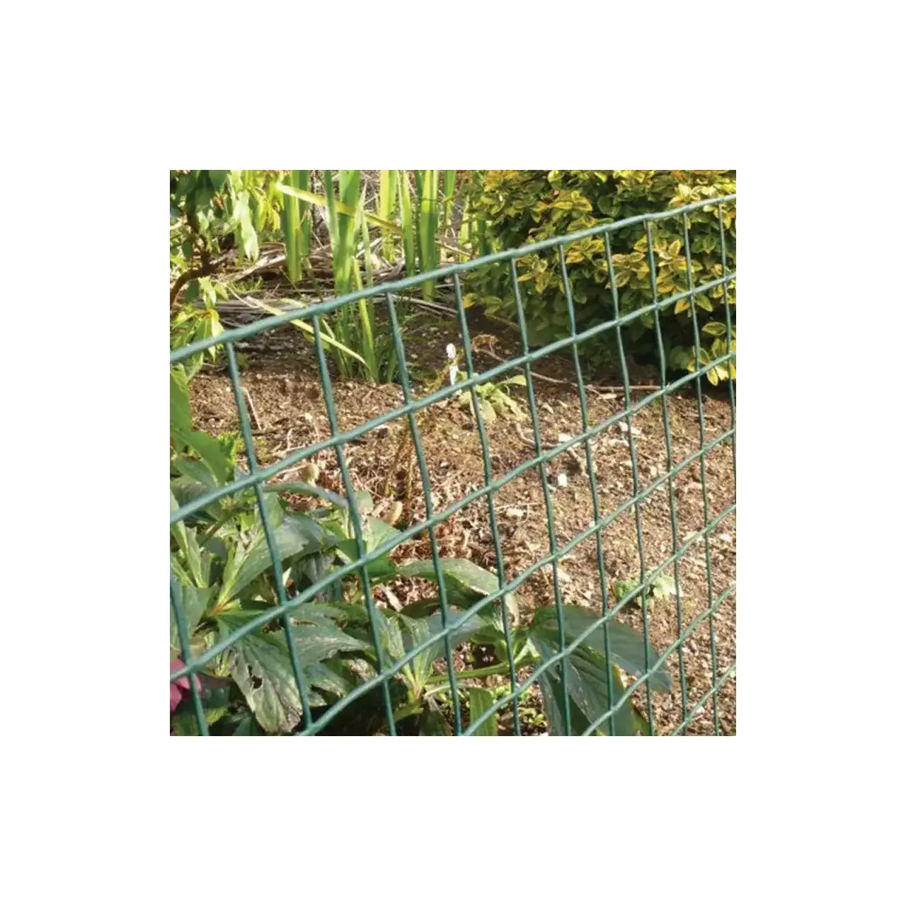 Plasa sarma zn sudata plastifiata 1.5x10 m - 13x13x1 mm, DSH 241314 2