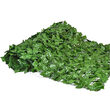Gard decorativ artificial frunze bicolor 1.0x3.0 m DSH 493874 1