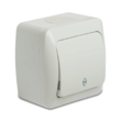 Eva Intrerupator Cap Scara PT IP54 2