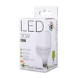 Bec LED 30W E27 6500K  2