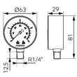 Manometru 63 mm 1/4