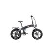Bicicleta electrica RKS LA ROSE, motor de 250W, autonomie de 60 km, viteză maximă 25 km/h, fara permis 6