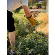 Mănuși protecție îngrijire trandafiri, 8, Flo 74143 9