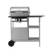 Gratar pe gaz,2 arzatoare,5.5 kw Lund 99658 10