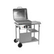 Gratar pe gaz,2 arzatoare,5.5 kw Lund 99658 13