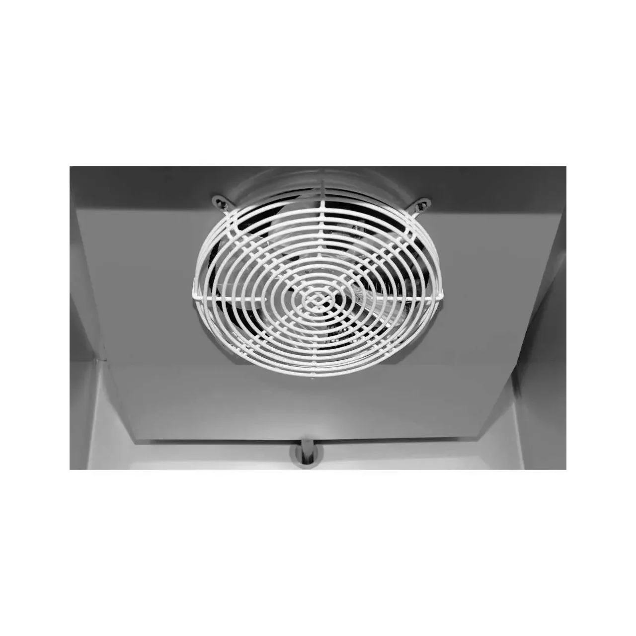 Dulap Răcire 600 L 680 x 810 x 2010 Yato YG-05215 3