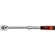 Antrenor cu clichet maner telescopic 1/2