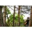 Fierăstrău multifuncțional 18v, 1x2ah Yato YT-828390 8