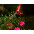 Foarfecă de grădină 215mm, inox, Yato YT-87861 5
