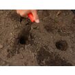 Plantator bulbi, cap oțel inoxidabil, Yato YT-88750 7