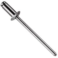 Pop nit 3.2 x 10 mm (100 buc), DSH 290602