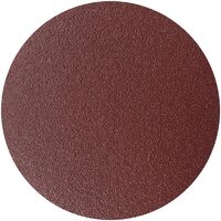 Disc abraziv cu arici 125 mm, gran. 60, DSH 270062