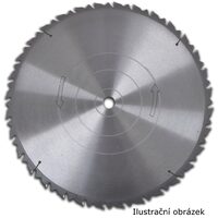 Pânză de ferăstrău pentru lemn - HECHT 001670