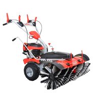 Masina de maturat si curatat HECHT 8101, 6.5 CP, 100 cm, motor termic, benzina