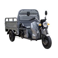 Triciclu Electric, FARA Permis, 25km/h, Motor 3900W, Volta Hercules, Tuk Tuk, 72V, 45Ah, 50 km autonomie, Gri