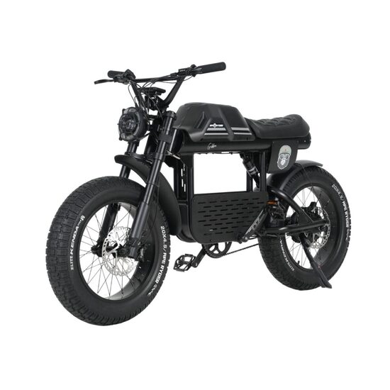 Bicicleta electrica Ape Ryder Gibbon, putere motor de 250 W, Viteză maximă 25KM/H, 85 km autonomie