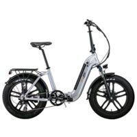 Bicicleta electrica SkyJet RV10, putere motor 250 W, viteză maximă 25 km/h, 60 Km autonomie