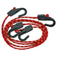 Cordelina elastica, 80cm, 2 buc Vorel 82360