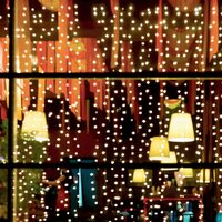 Perdea de lumini microLED, 20 fire/20 LED, alb rece, de exterior