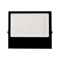 Proiector LED 100W 6400K, Homelight