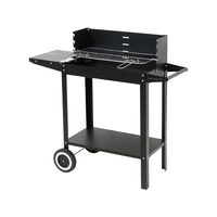 Gratar carbuni 48x26,5cm Lund 99919